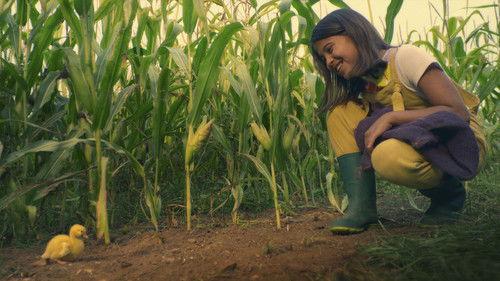 Lovely Little Farm Season 2 Episode 7 - Party