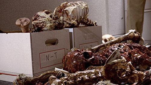 Your Pretty Face Is Going to Hell Season 1 Episode 2 - Bone Garden