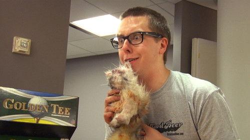 All-Nighters Season 5 Episode 8 - CatDog