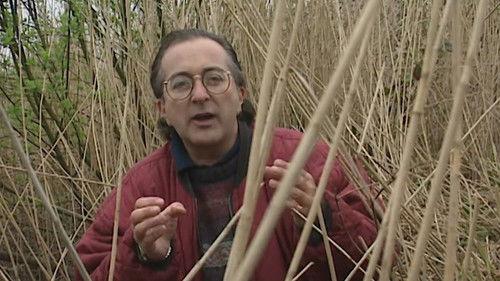 Time Team Season 1 Episode 1 - The Guerrilla Base of the King - Athelney, Somerset