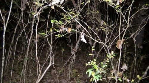 Paranormal Caught on Camera Season 1 Episode 4 - Gettysburg Ghosts and More