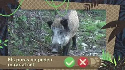 Kukurota Season 1 Episode 5 - Episode 5