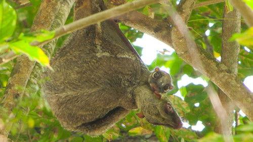 Background image for Hidden World