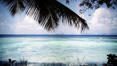 undefined Season 1 Episode 4 - Phantom Traveler