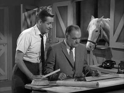 Mister Ed Season 2 Episode 16 - Horse Wash