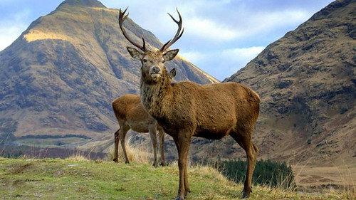 Springwatch Season 17 Episode 4 - Episode 4