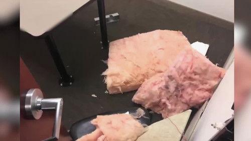 Court Cam Season 3 Episode 22 - #324