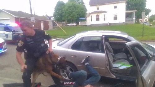 Live PD Presents: PD Cam Season 1 Episode 4 - #104