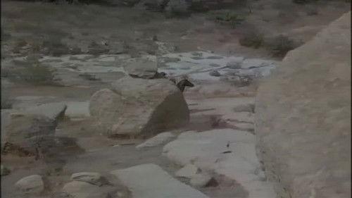 Alias Smith and Jones Season 3 Episode 5 - Bushwack!