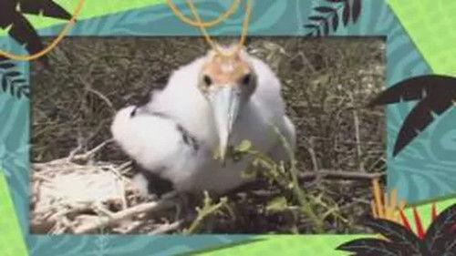 Kukurota Season 1 Episode 20 - Episode 20