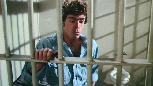 Police Woman Season 4 Episode 5 - Screams