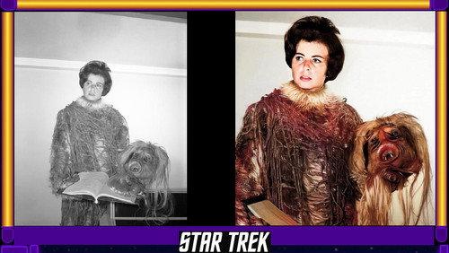 A Captain's Log Season 3 Episode 14 - Sandra Gimpel - Stuntwoman/actress Star Trek's first villain twice; M-113 salt vampire and veiny Talosian