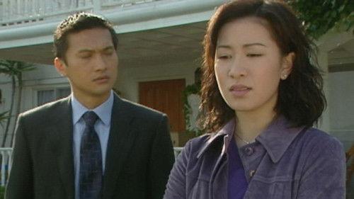 Detective Investigation Files Season 4 Episode 22 - Episode 22