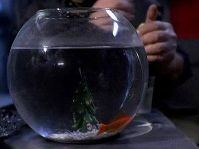 Boris Season 1 Episode 8 - Merry Christmas