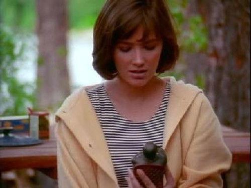 Northern Exposure Season 6 Episode 2 - Eye of the Beholder