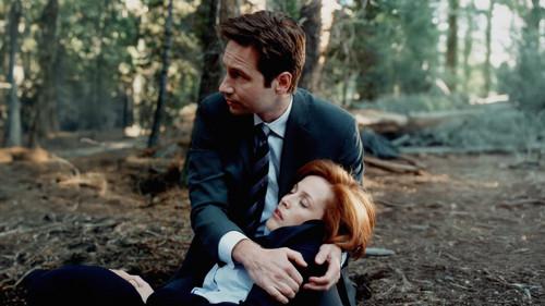 The X-Files Season 7 Episode 22 - Requiem