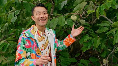 Gardening Australia Season 37 Episode 7 - Episode 7 Autumn: Cottage Gardening & Custard Apples