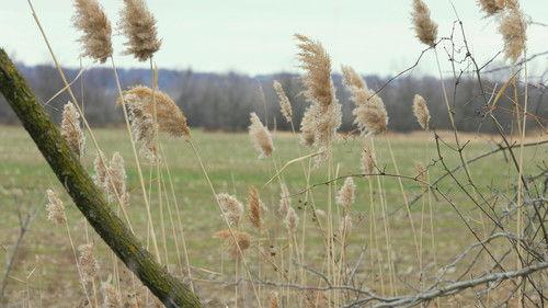 Taking the Stand Season 1 Episode 10 - George Burch