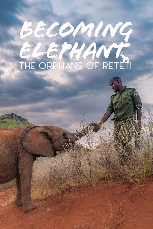 Becoming Elephant: The Orphans Of Reteti poster