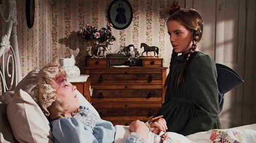 Little House on the Prairie Season 3 Episode 2 - Bunny