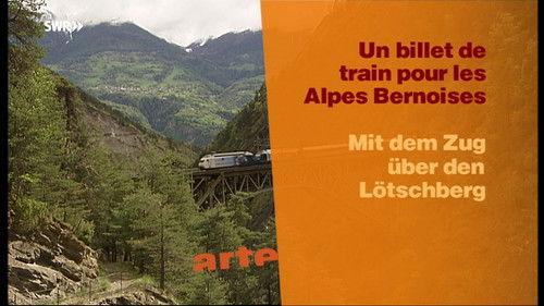 With the Train Through... Season 3 Episode 7 - Episode 7