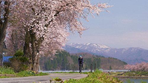 Cycle Around Japan Season 4 Episode 4 - Akita - Discovering the Traditions of the North