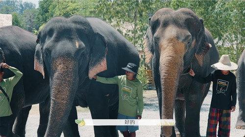 Twinkle Love Season 4 Episode 11 - Episode 11