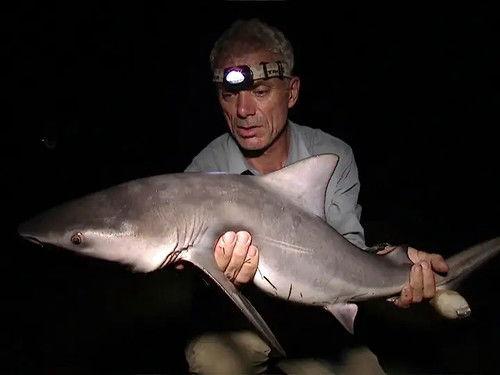 River Monsters Season 1 Episode 7 - Freshwater Shark