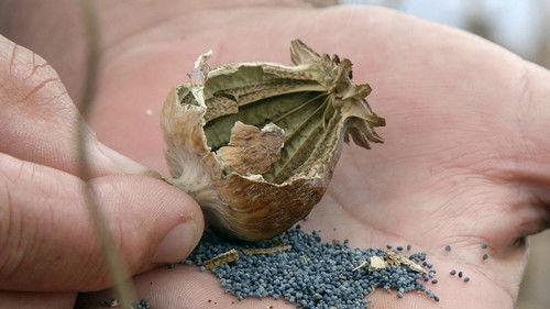 undefined Season 1 Episode 2 - Part Two