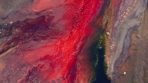 What on Earth? Season 4 Episode 15 - Curse of Medusa