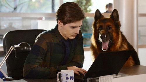 Komisarz Alex Season 11 Episode 5 - Episode 5