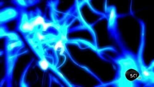 Through the Wormhole Season 2 Episode 1 - Is There Life After Death?