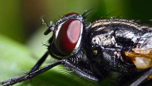 undefined Season 1 Episode 3 - Episode 3