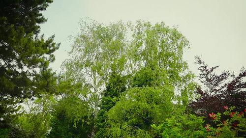 Natur im Garten Season 26 Episode 9 - Episode 9