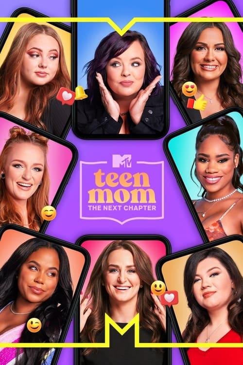 Teen Mom: The Next Chapter poster