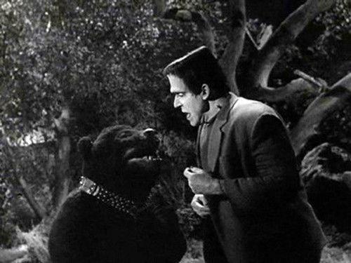 The Munsters Season 2 Episode 1 - Herman’s Child Psychology