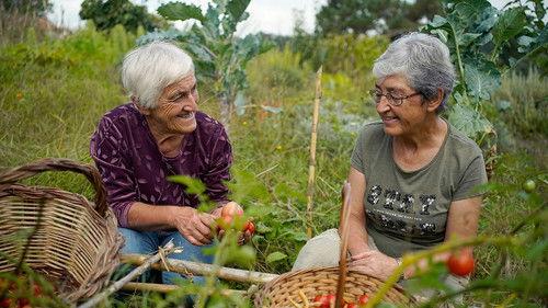 Cuisines des terroirs Season 22 Episode 7 - Episode 7