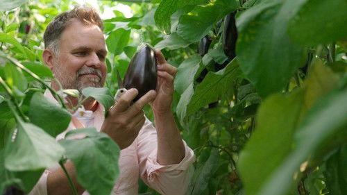 Moi j'mange Season 3 Episode 12 - Episode 12