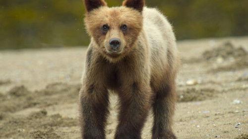 Wild Babies Season 1 Episode 8 - Stepping Up