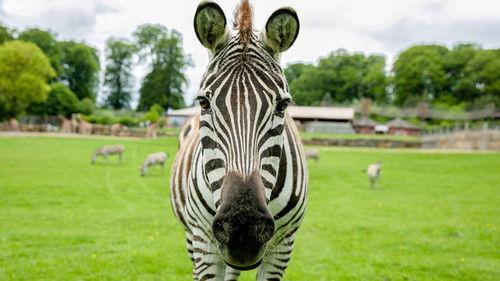 Animal Park Season 20 Episode 13 - Summer 2022: Episode 13