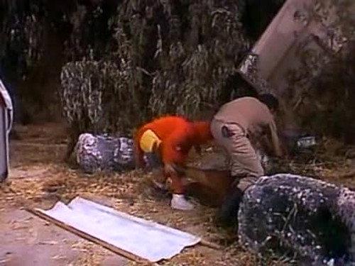undefined Season 4 Episode 2 - El misterio del abominable hombre de las nieves