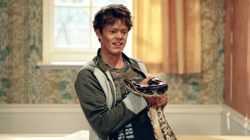 My Family Season 4 Episode 13 - It's a Window Filled Life