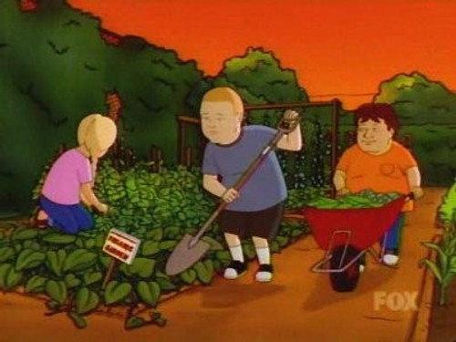 King of the Hill Season 7 Episode 18 - I Never Promised You an Organic Garden