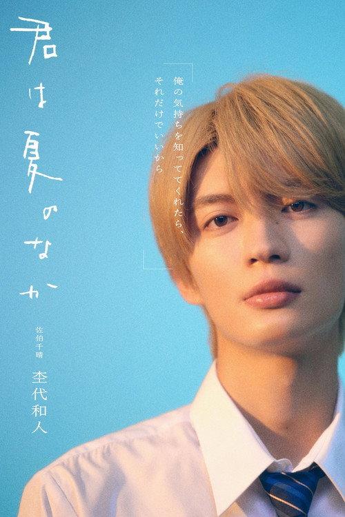 My Summer of You poster