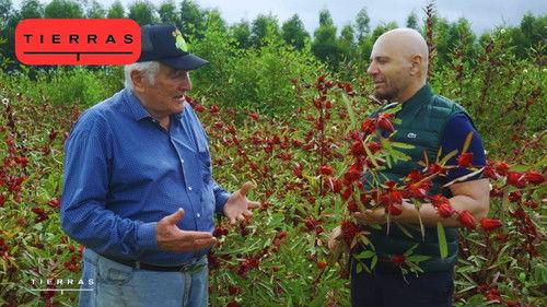 Proyecto Tierras Season 4 Episode 2 - Episode 2