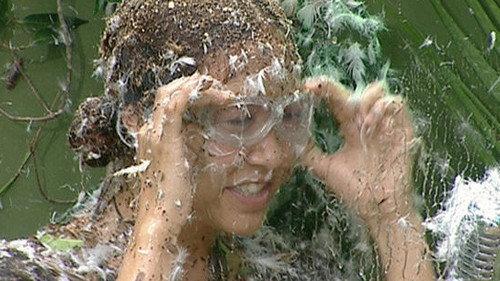 I'm a Celebrity...Get Me Out of Here! Season 6 Episode 19 - Final: Bushtucker Bonanza / Fill Your Face / Scareoke