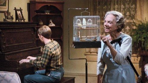 The Waltons Season 7 Episode 9 - The Beau