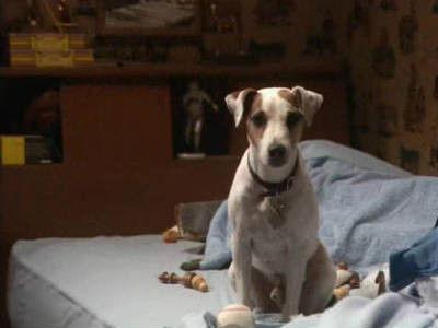 Background image for Oliver's Best Friend