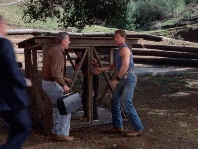 Quincy, M.E. Season 8 Episode 21 - Suffer the Little Children