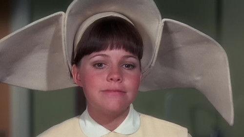 The Flying Nun Season 3 Episode 14 - Dear Aggie